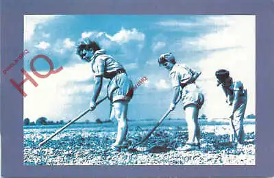 Picture Postcard>>Women's Land Army Girls Hoeing (Repro) [Nostalgia] • £1.99